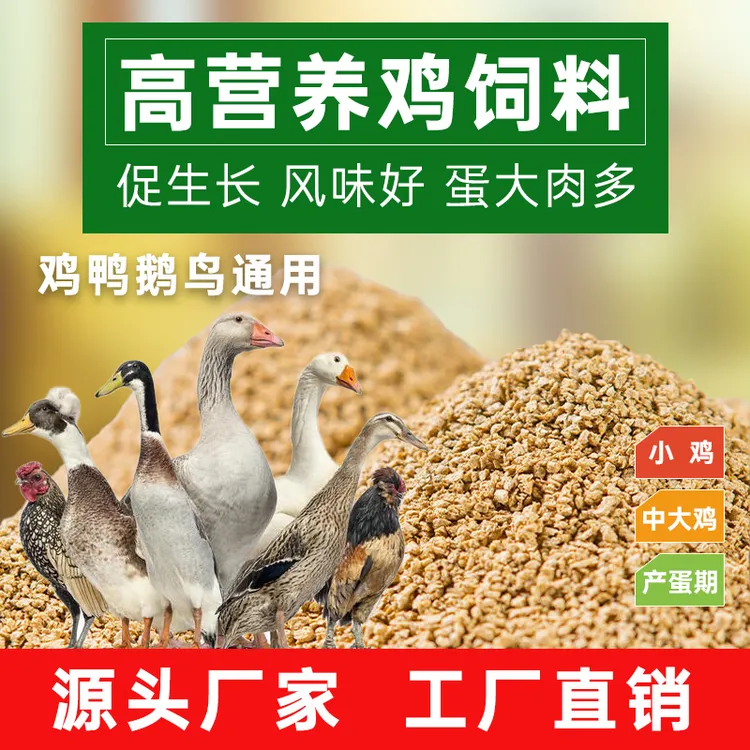 小鸡饲料中大肉蛋鸡颗粒饲料鸭鹅鹌鹑鸽鸟鱼饵料打窝配合开口料