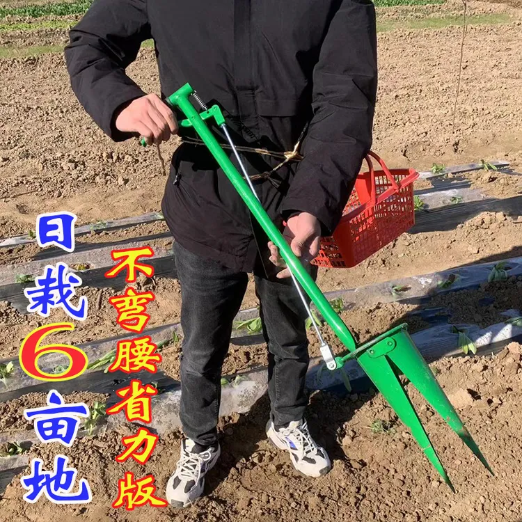 栽苗器2025新款土豆辣椒番茄西瓜栽苗神器蔬菜种植工具移苗移栽器