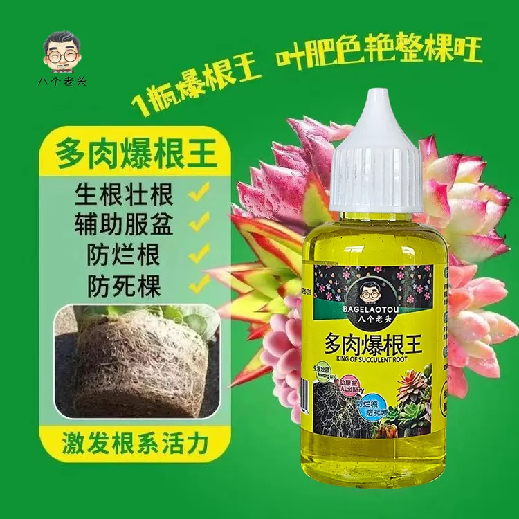 多肉爆根王快速生根壮苗剂多肉植物专用养花水肥通用营养液生根液
