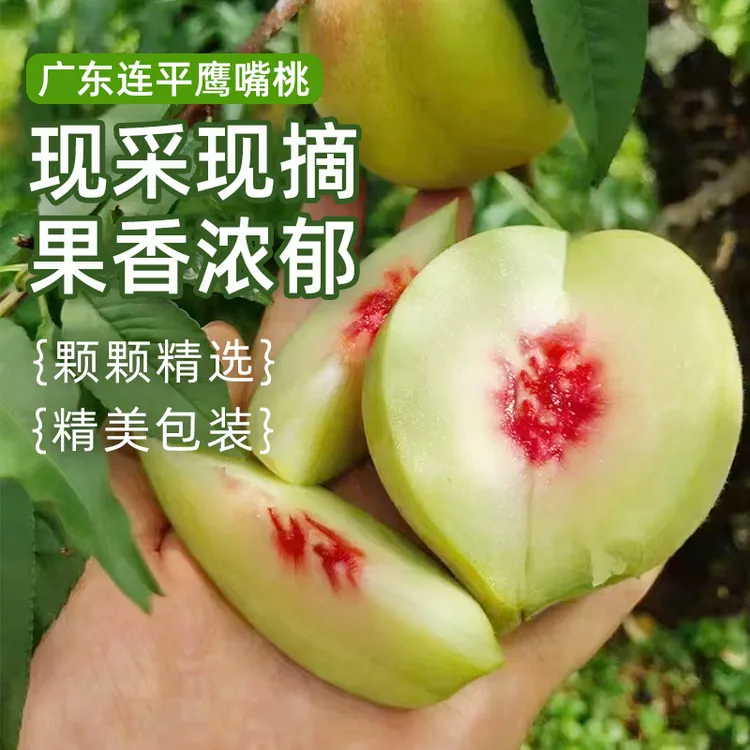 【广东京东包邮】广东连平正宗鹰嘴桃红心清甜多汁现摘现发果园直供