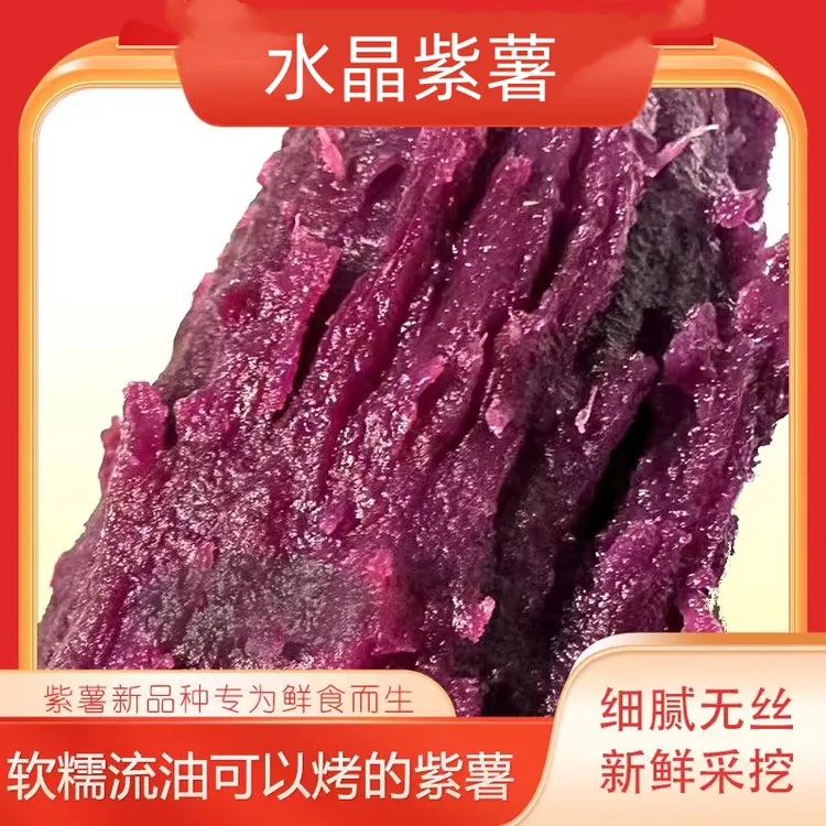 【糖心紫薯】山东沙地水晶紫薯糖心红薯蜜薯番薯新鲜农家优质健康