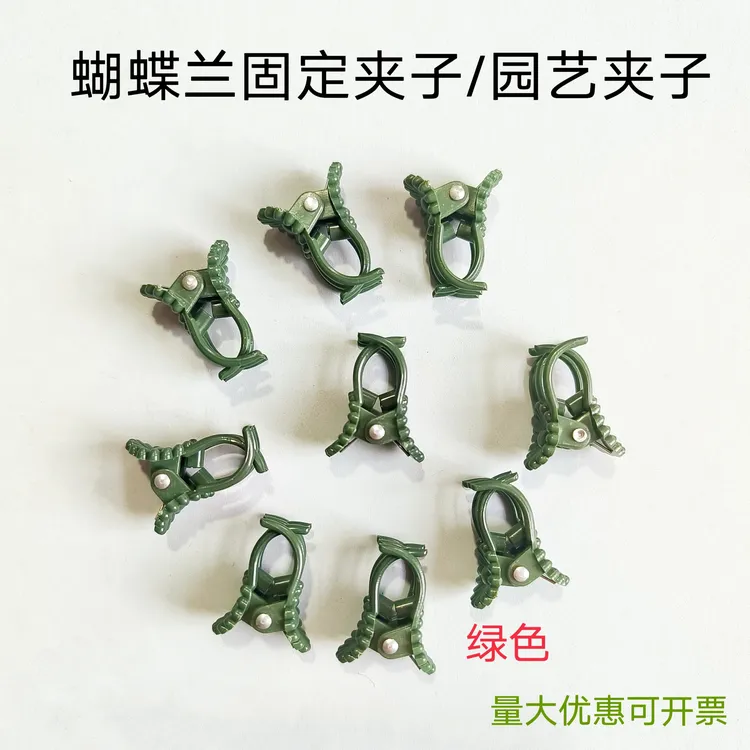 绿色园艺夹子蝴蝶兰专用夹子小夹子支撑杆夹子爬藤植物固定夹子