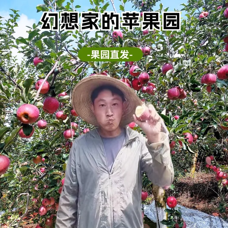 昭通严选高原2001丑苹果香甜爽口脆甜多汁现摘现发坏果包赔好评