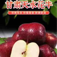 （2）正宗天水花牛苹果老少皆宜脆甜多汁粉面沙甜一果两吃新鲜采摘