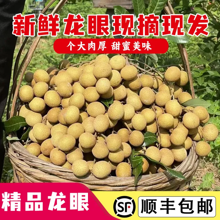 【顺丰包邮】广东新鲜龙眼现摘现发储良龙眼新鲜桂圆正宗高州储良