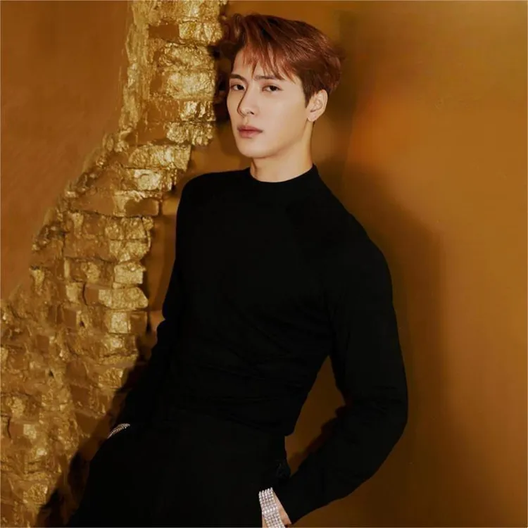 王嘉尔同款高端巴素兰60支细腻100%羊毛衫毛衣半高领潮男打底线衫