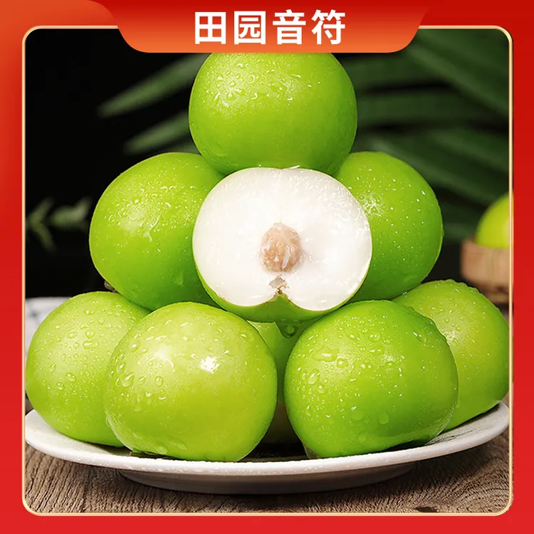 【田园音符】福建漳州贵妃脆蜜枣3斤/4.5斤贵妃牛奶枣青枣单果60g起
