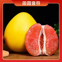 【田园音符】福建平和红心蜜柚4.5斤/8.5斤 单果1.7斤起 多仓发货