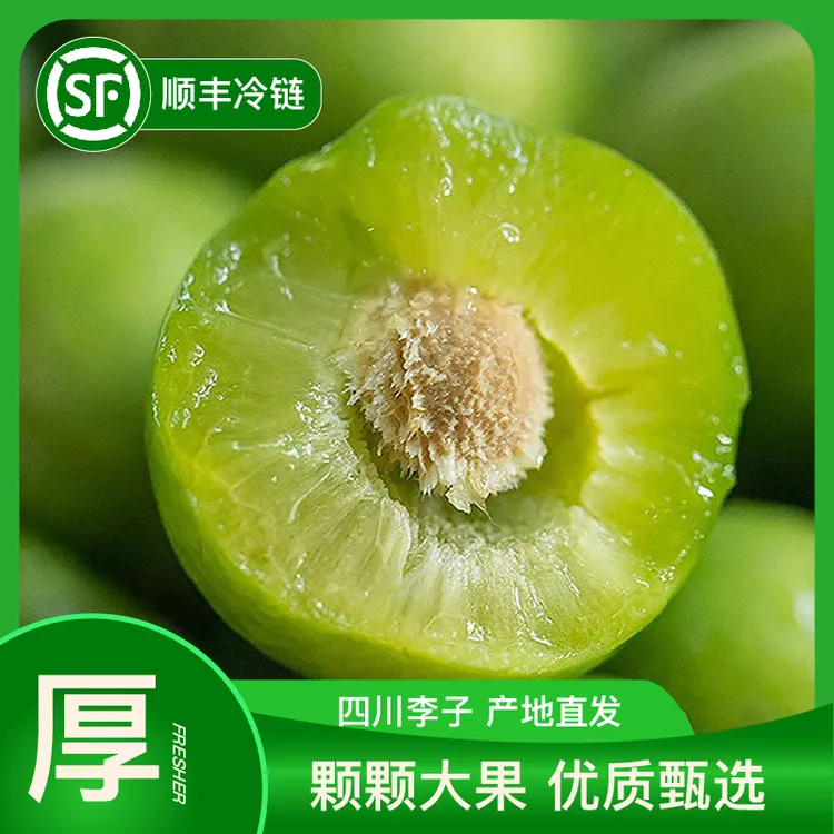 【顺丰冷链】四川正宗清脆脱骨李子脱骨青脆李子半边红茵红脆甜整箱