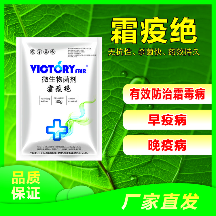 霜疫绝霜霉早晚疫病无抗性菌剂粉剂有效一壶水细菌真菌