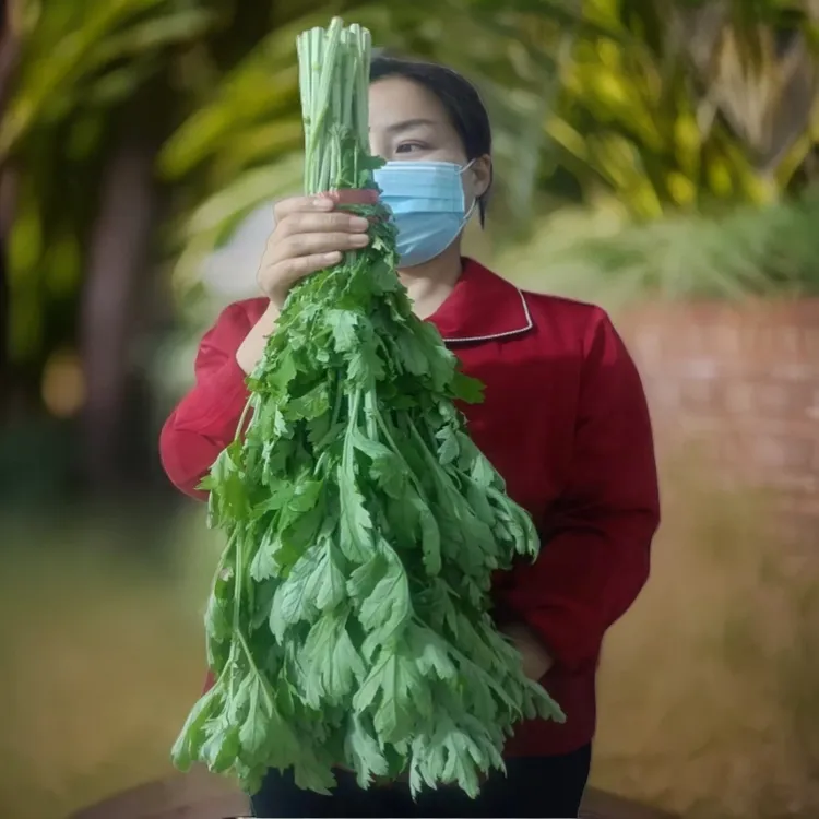 新鲜整颗艾草端午挂门窗艾蒿菖蒲桃树枝驱蚊民俗泡脚洗澡门上挂艾