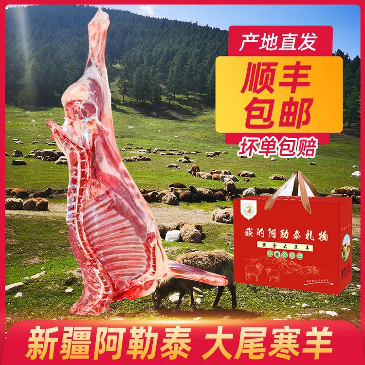 新疆阿勒泰大尾寒羊小羔羊新鲜草原放养半羊10斤切块90%腿排4分体