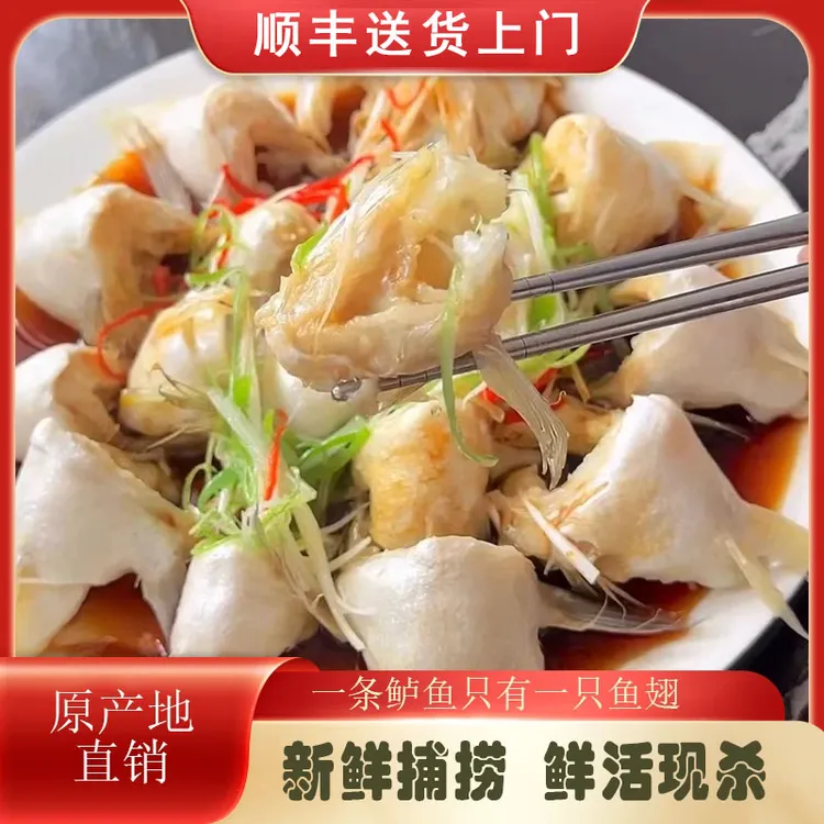 鲈鱼翅新鲜鲈鱼翅鱼下巴冷冻鱼鳍翅鱼翅鱼鳍鲜冻海鱼商用250g一包
