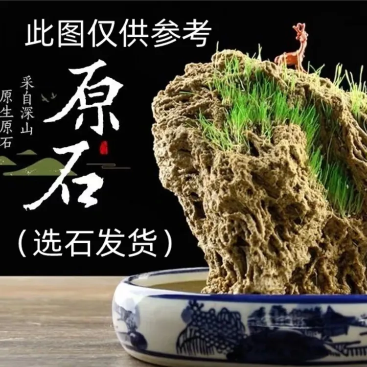 邱东园林：吸水石/一石一拍，（20-1000）送草籽，自然//定制/参考原生