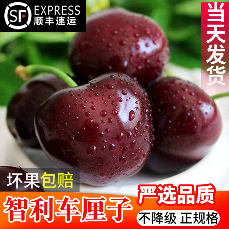 现货智利空运车厘子进口大樱桃新鲜孕妇4J特大果水果顺丰空运包邮