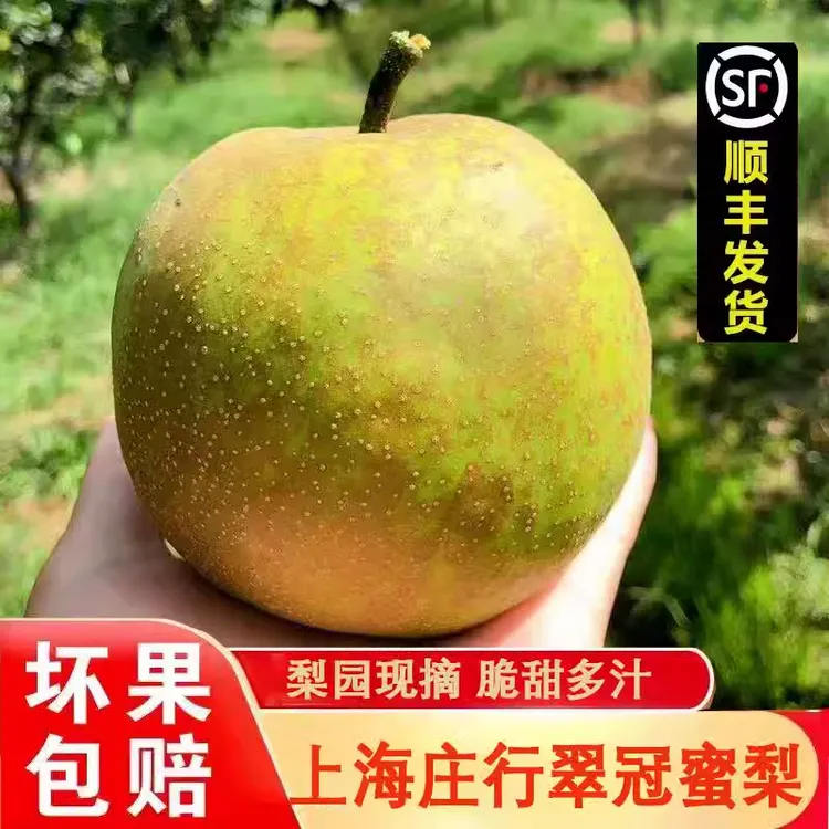 当季正宗上海庄行品种蜜梨翠冠梨新鲜水果3-10斤特大果顺丰包邮