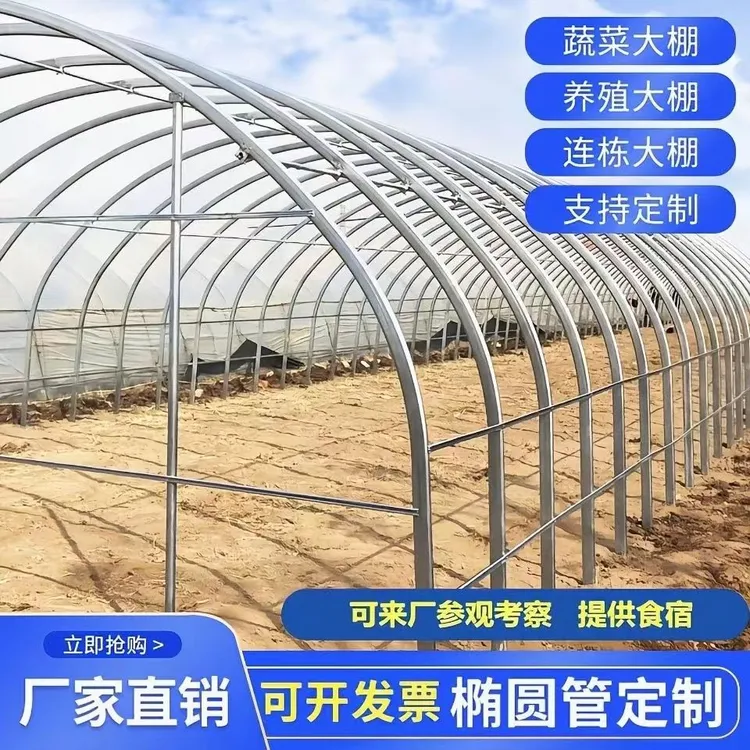 大棚拱棚骨架全套种植支架蔬菜养殖温室冷棚暖棚连体棚椭圆管钢架
