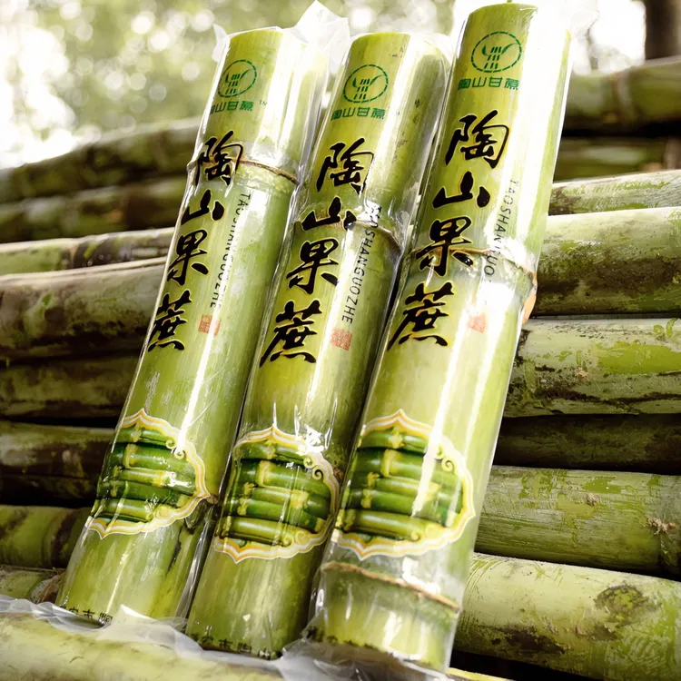 白玉甘蔗真空一节陶山甘蔗礼盒5斤陶山青皮甘蔗新鲜现砍现发顺丰