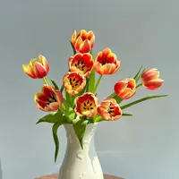 【爱丽丝郁金香】郁金香栀子柠檬清香 夏天小清新 中型花苞 红色