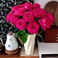 【弗洛伊德】梦境中的花园 绝美 粉红色玫瑰