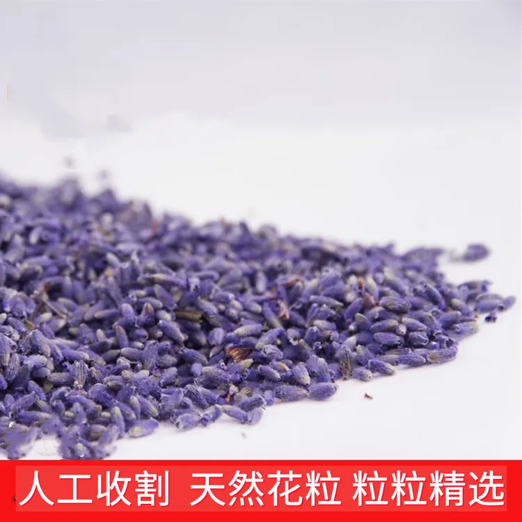 六月田新薰衣草干花粒新疆伊犁五A级干花粒清新家居节日通用家居