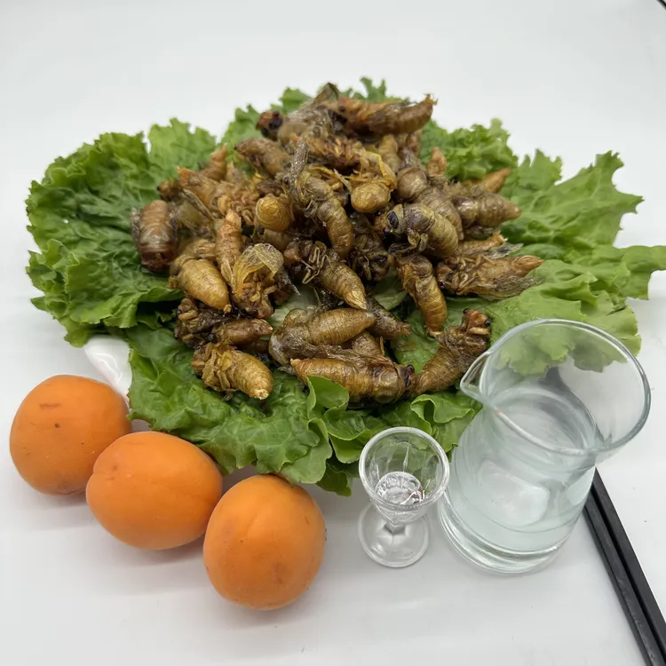 油炸白蝉嫩知了开袋即食嘎嘎好吃下酒菜