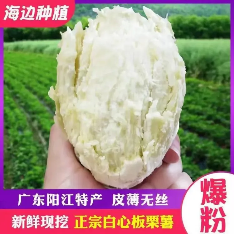 广东新鲜爆皮王番薯沙地板栗薯粉糯香甜白心红薯地瓜3/5/9斤现挖