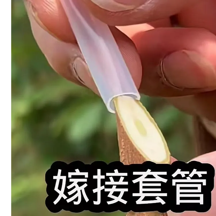 植物嫁接套管套管嫁接盆景嫁接花卉嫁接蔬菜水果嫁接方便操作简单
