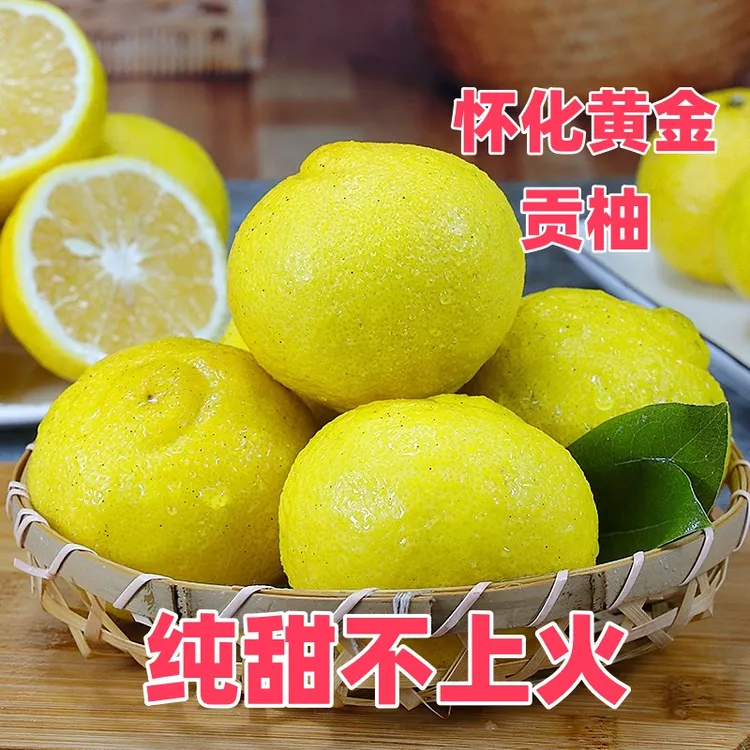 黄金贡柚湖南怀化正宗岩垅春香桔象山青新鲜甜洪江雪峰山精选柑橘