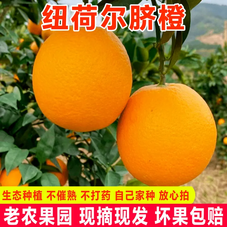 纽荷尔脐橙5斤橙子应季水果新鲜非江西赣南脐橙手剥冰糖甜橙正宗
