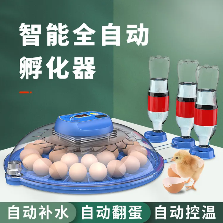 孵蛋器全自动家用小型芦丁鸡飞碟孵化器智能鹦鹉鸟蛋孵化箱孵化机
