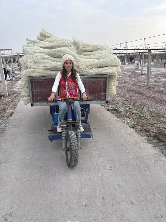黑龙江自然风干粉条