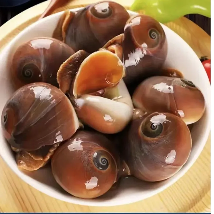 连云港海捕鲜活猫眼螺（包鲜不包活）2斤/3斤/4斤/5斤