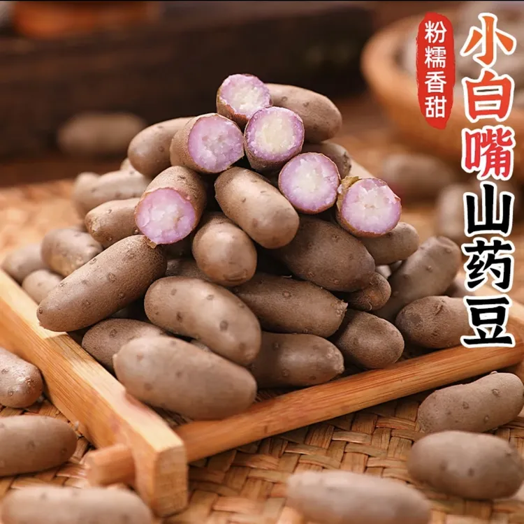 新鲜铁棍小白嘴山药豆软糯香甜大果长度2厘米以上冰箱保鲜储存