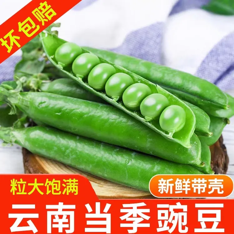 云南高山露天种植甜脆水果豌豆饱满带壳水果甜豌豆青豆