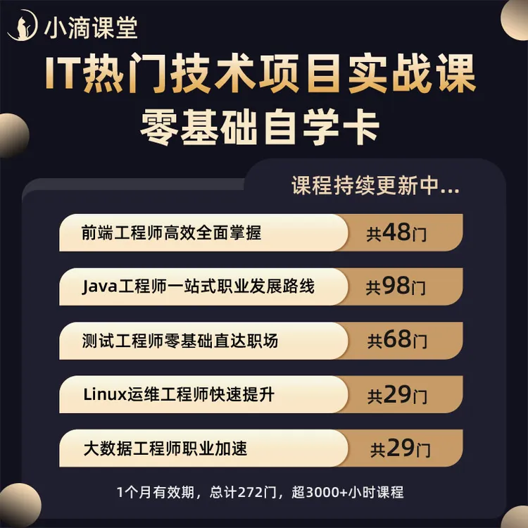 0基础IT编程自学卡java/python/前端/后端/运维/大数据/大数据课