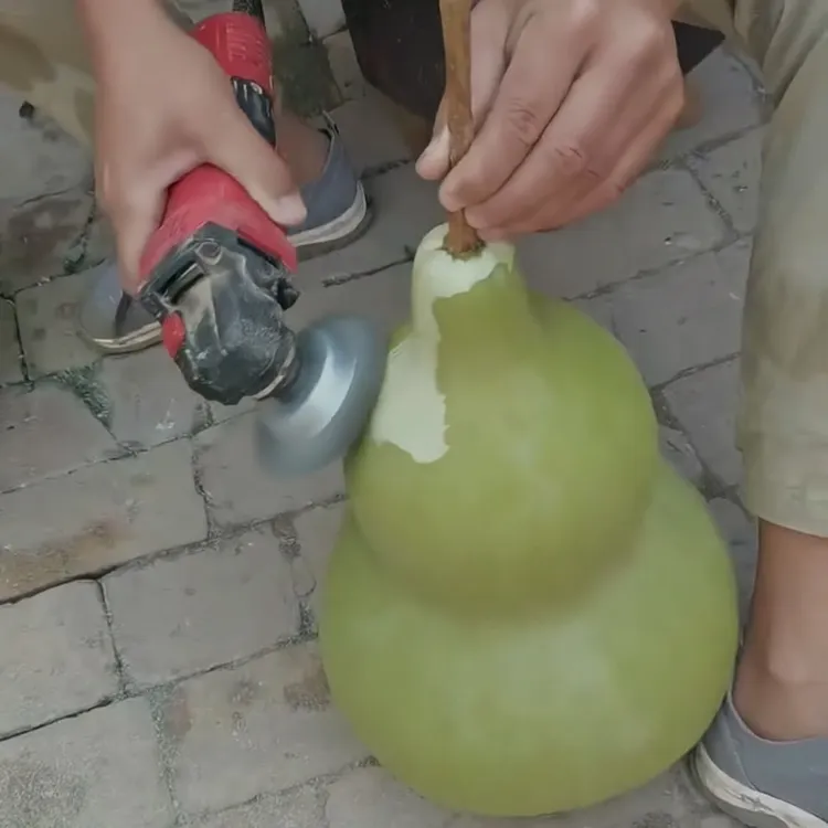 葫芦去皮钢丝刷碗形不锈钢丝碗型除锈刷大葫芦打皮去皮钢丝轮