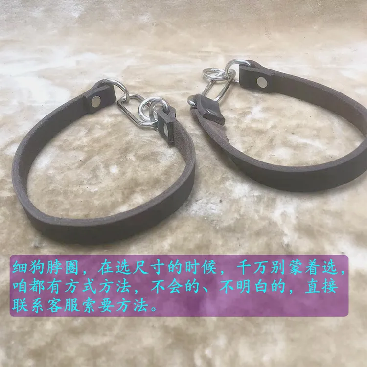 细狗项圈牛皮脖圈格惠灵缇惠比特猎兔犬狗套子真皮狗链子遛狗专用