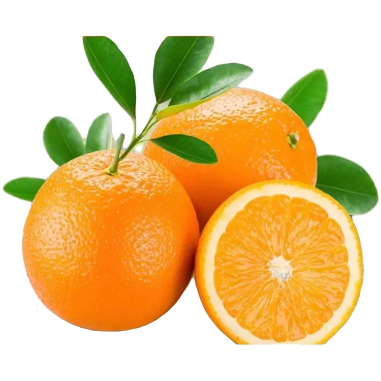 正宗赣南脐橙产地果场直供10斤