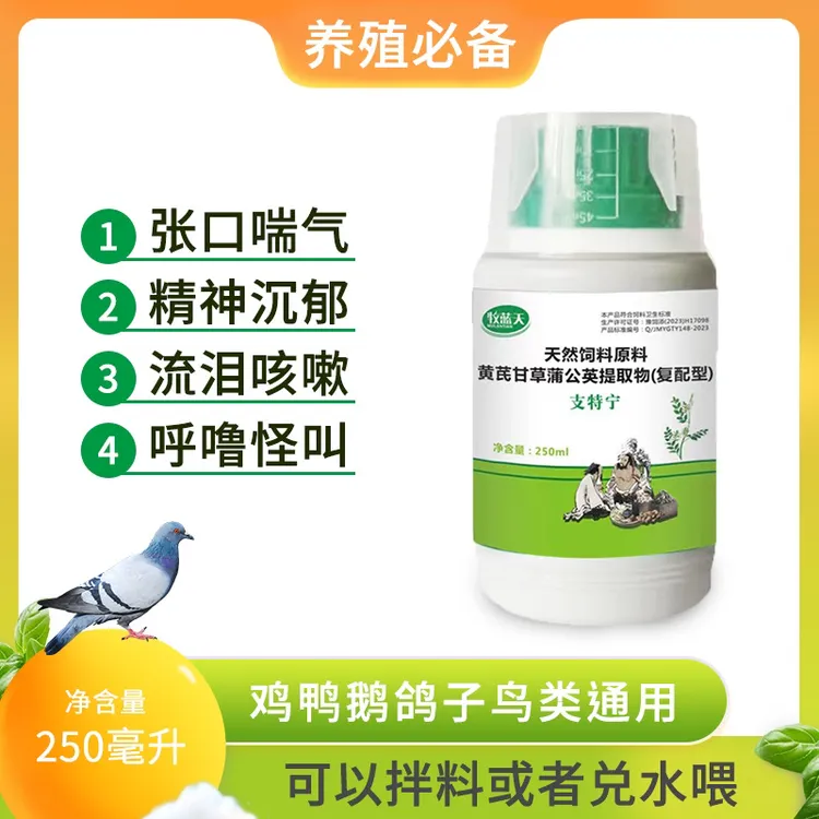 【支特宁】鸽子鸟类通用