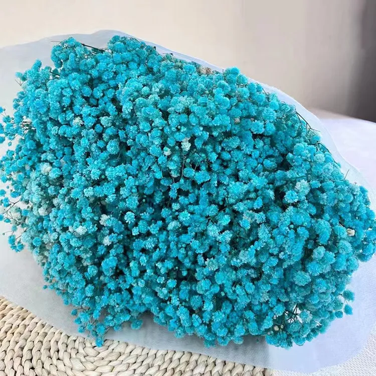 A级浪漫永生满天星批发 真花制作完成450g左右送人表达永生花