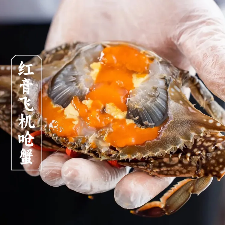 三关六码头宁波特产红膏飞机呛蟹整只生腌咸螃蟹梭子蟹即食海鲜 