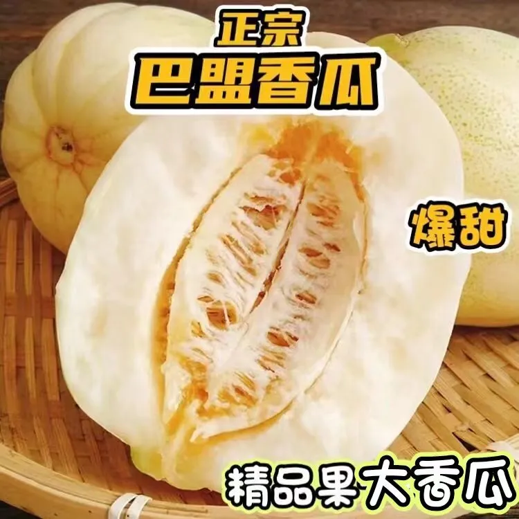 临河巴盟香瓜白莲脆产地直发应季水果脆甜白皮小瓜子爆甜香甜好吃
