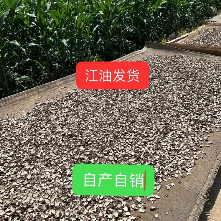 江油特产出口级炮片蒸片黑片江油千年优质核心产区倪师江油农产品
