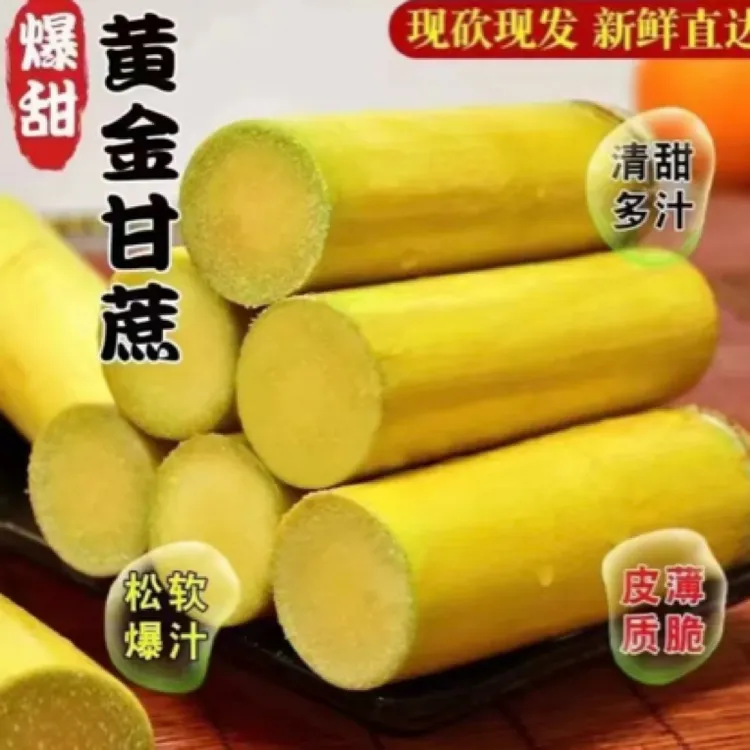 广东黄金甘蔗新鲜皮薄皮清甜多汁正宗黄皮甘蔗