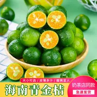 正宗海南青金桔奶茶店商用新鲜小青柠酸桔子榨汁调味金桔柠檬包邮
