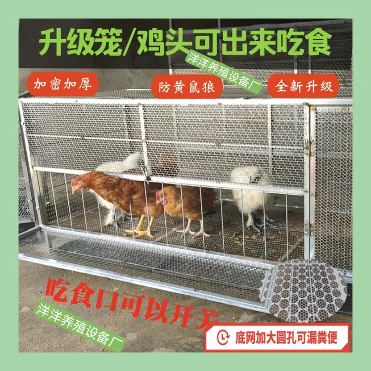 加厚加密鸡笼家庭养殖适用防黄鼠狼蛇鼠探头吃食防腐耐锈