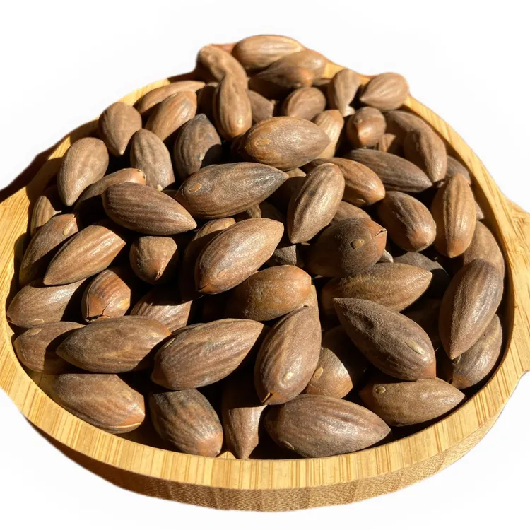 【产地直销】2024农家高山香榧 嵊州诸暨老产区 保证新货