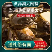【活蟹】洪泽湖大闸蟹全母蟹3.4—3.6两8只/10只去绳去水净重鲜活