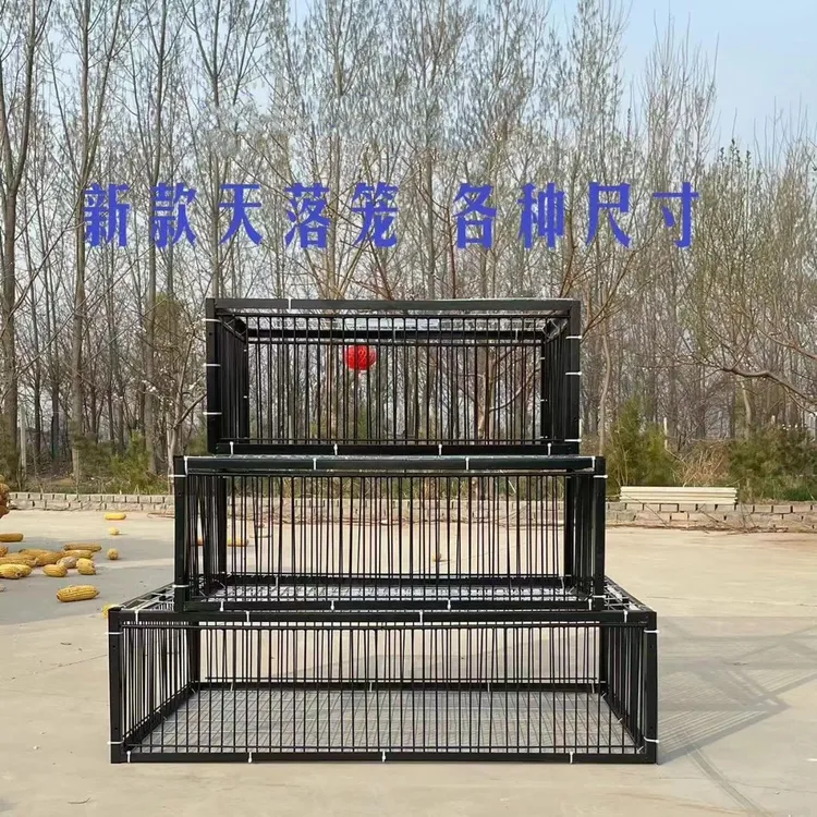 【大头户外甄选】新款加密2cm天落笼，家用养殖自动撞门家鸽子回收笼